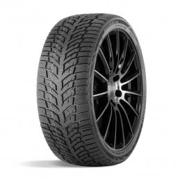 Doublestar Winterking DW08 225/45R18 95H